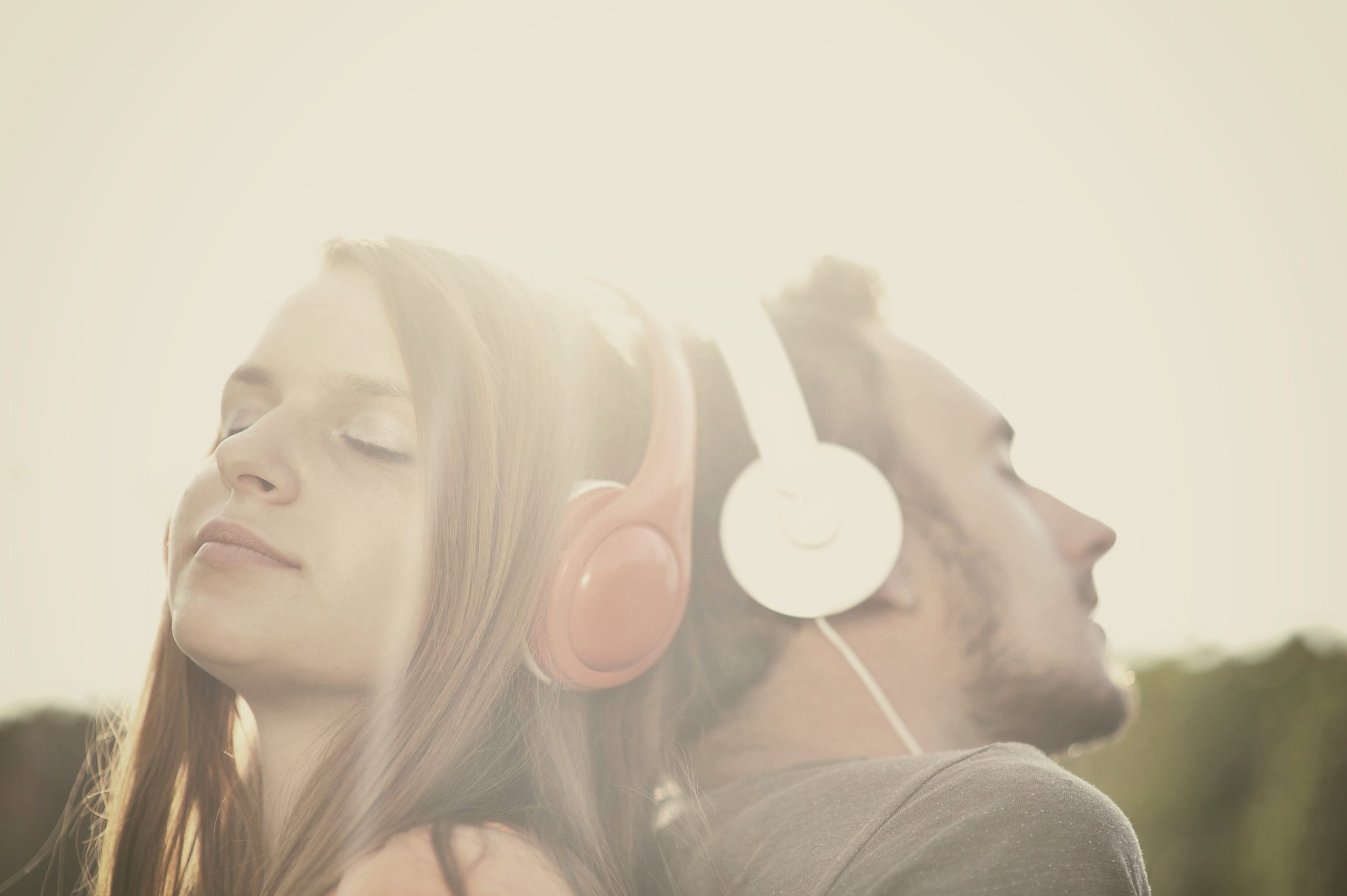 These are the different types of sound transducers