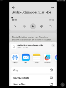 Nothing Ear 3a Recording App EN